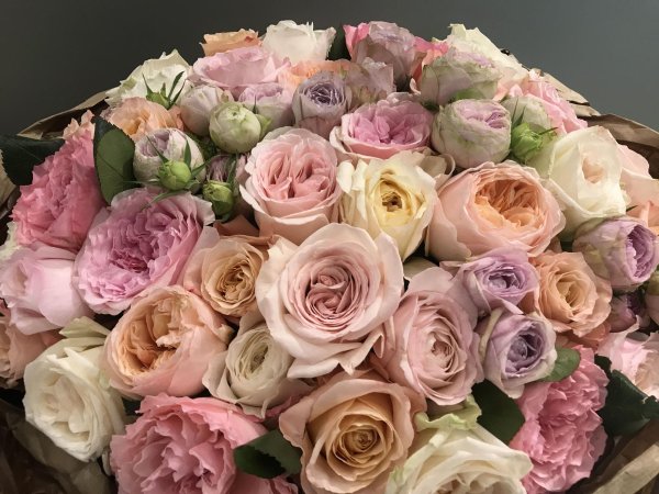 пионовидная роза