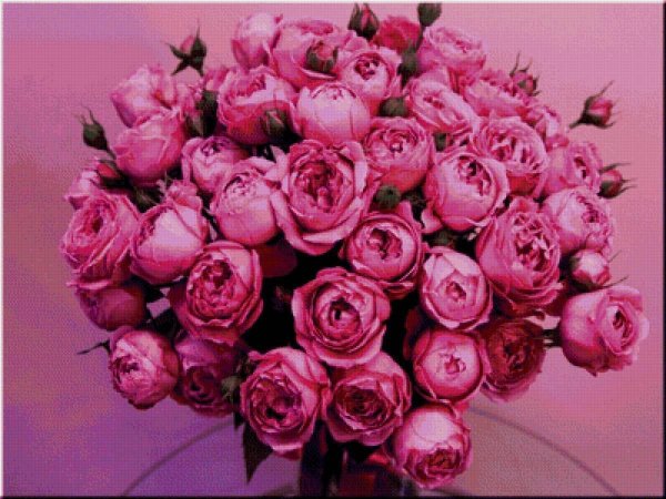 букет пионовидных роз