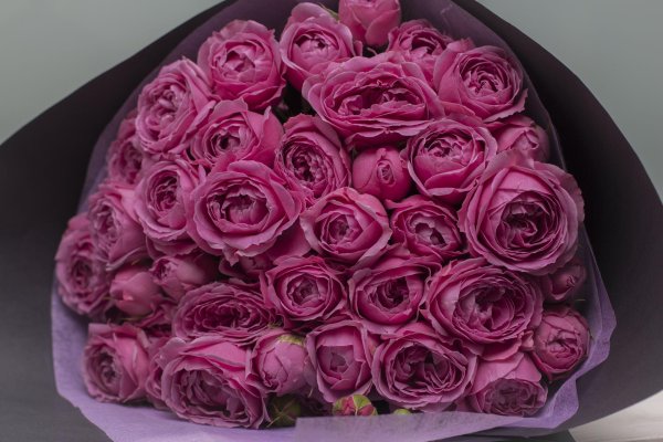 роза мисти баблс