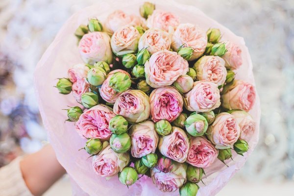 цветы пионовидные