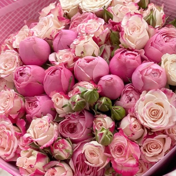 кустовые пионовидные розы