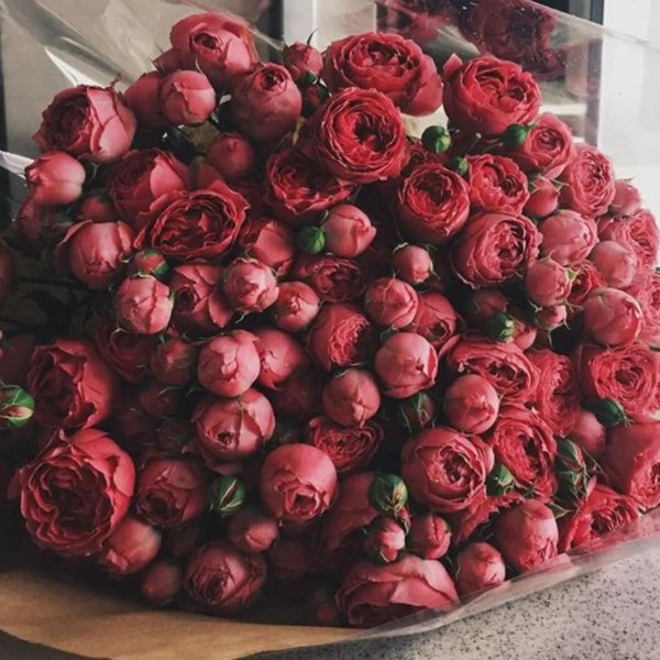 букет пионовидных роз