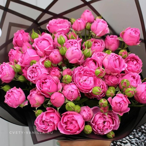 цветы мисти баблс