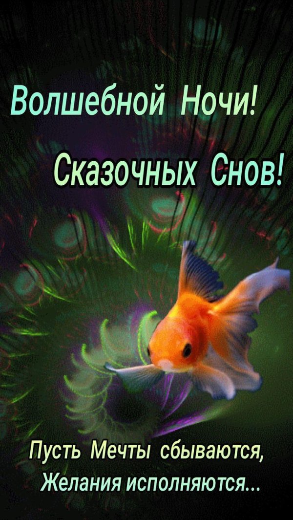 доброй ночи рыбка
