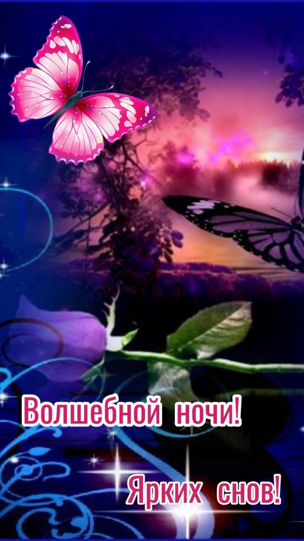 чарующей ночи