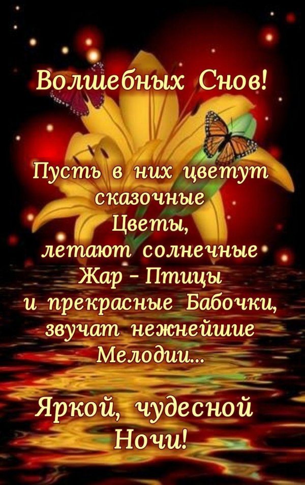 чудесной ночи автор елега