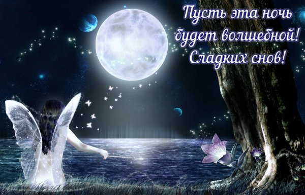 волшебной ночи сладких снов