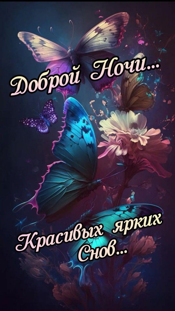ночи доброй
