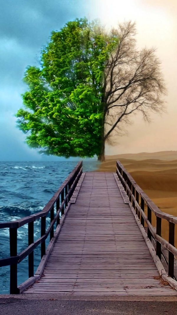 изменение климата