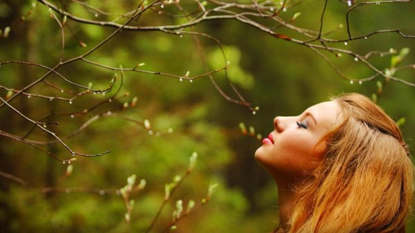 дыхание весны