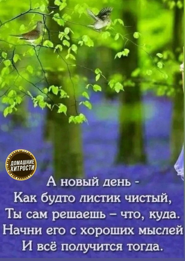 хорошие мысли