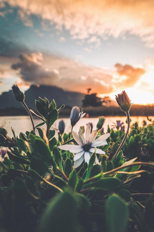 счастье каждый миг