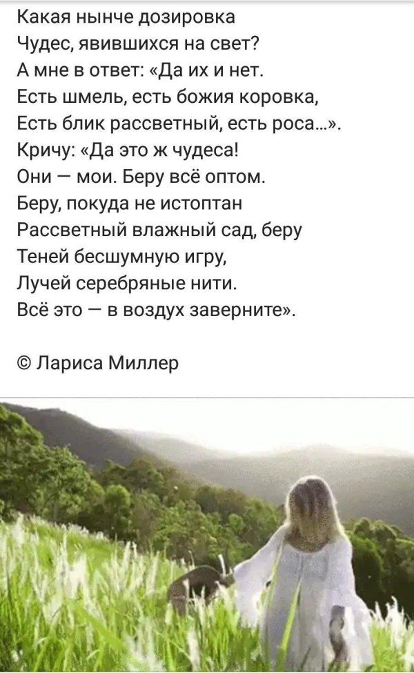 стихи ларисы миллер