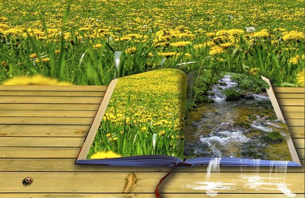 открытая книга