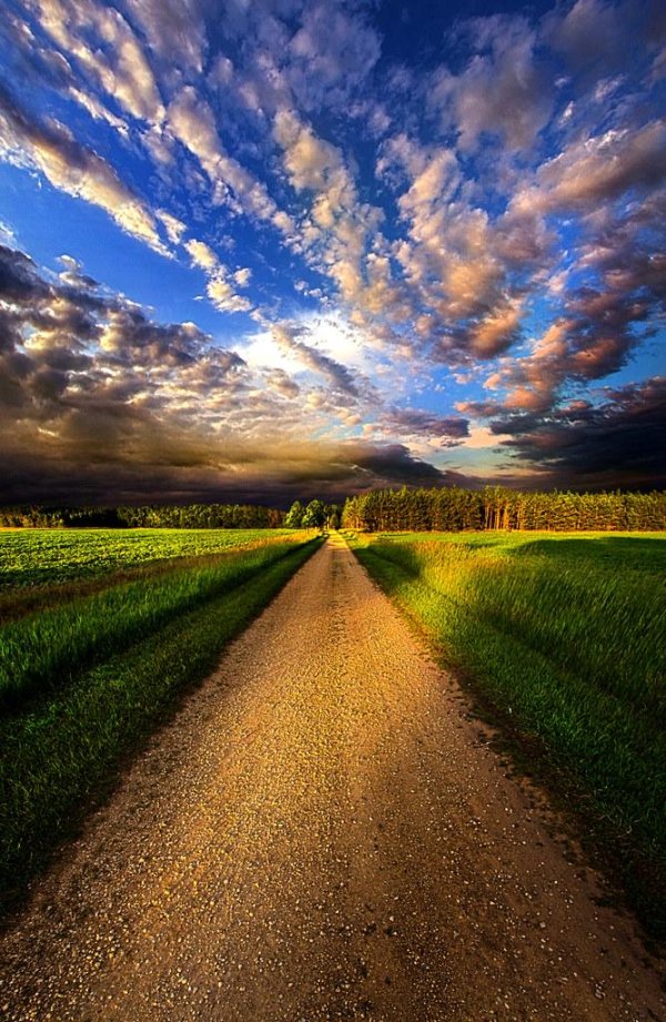 природа дорога