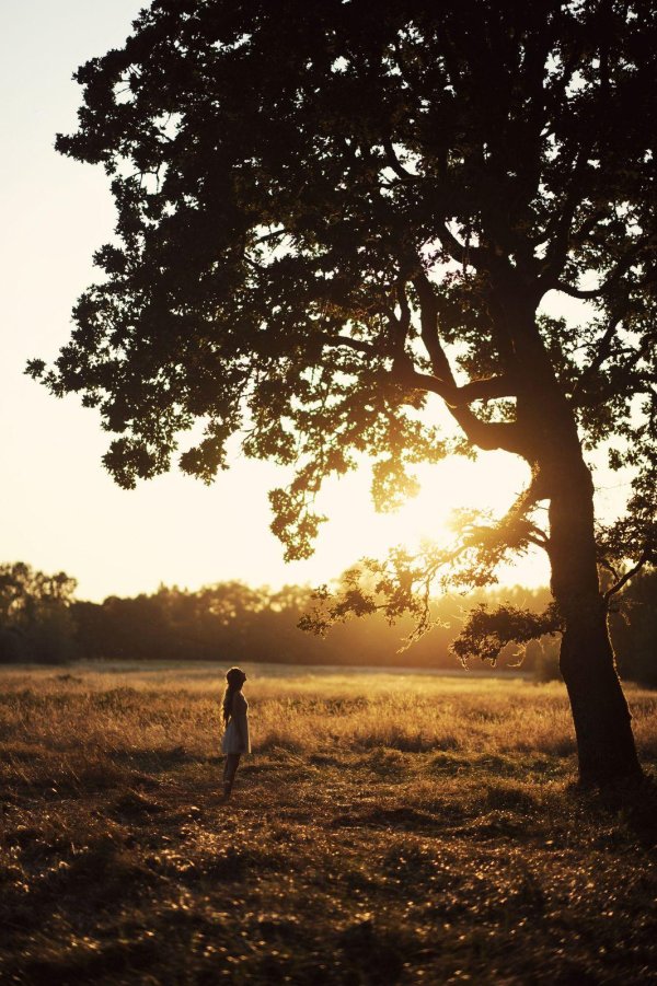 пейзажи фотографии