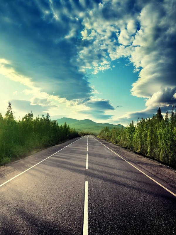 дорога дорог