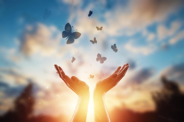 освободи бабочек