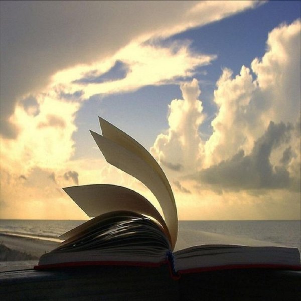 открытая книга