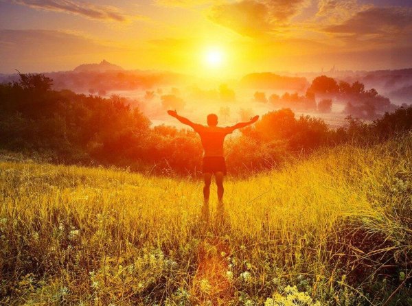 навстречу солнцу