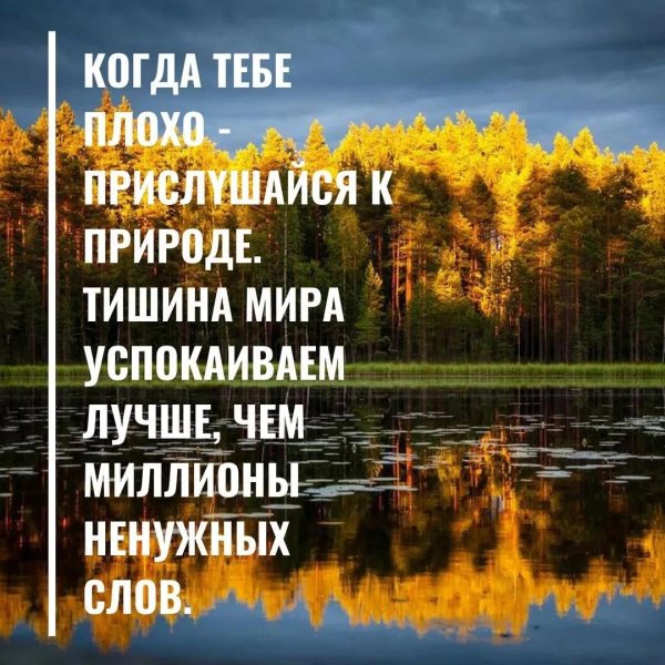 тишина природы