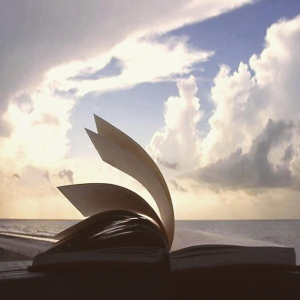 открытая книга