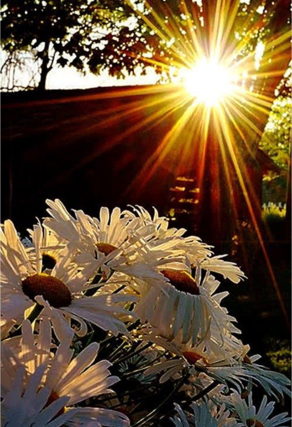 летний вечер