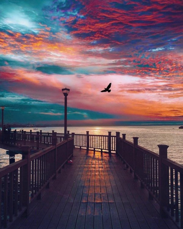 фотографии закат