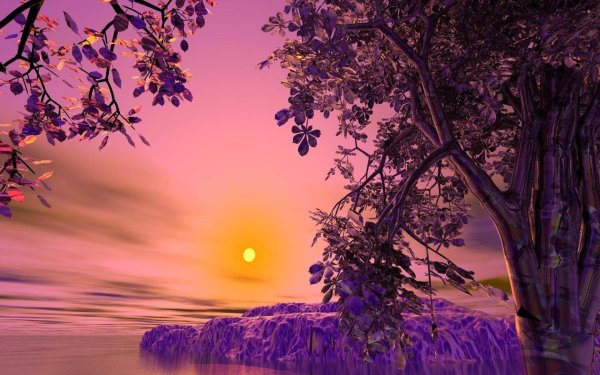 фиолетовые закаты