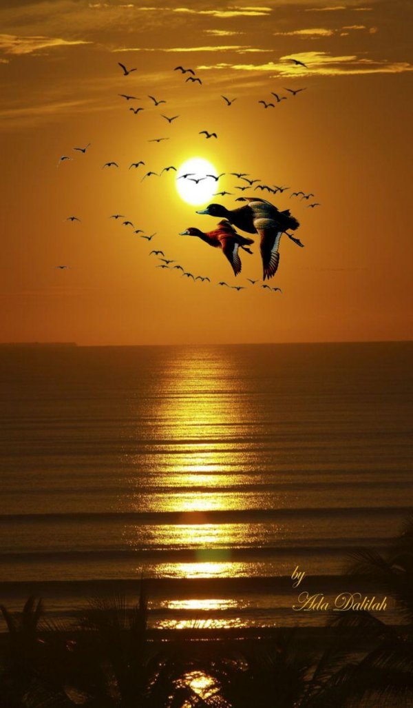 закат красивый