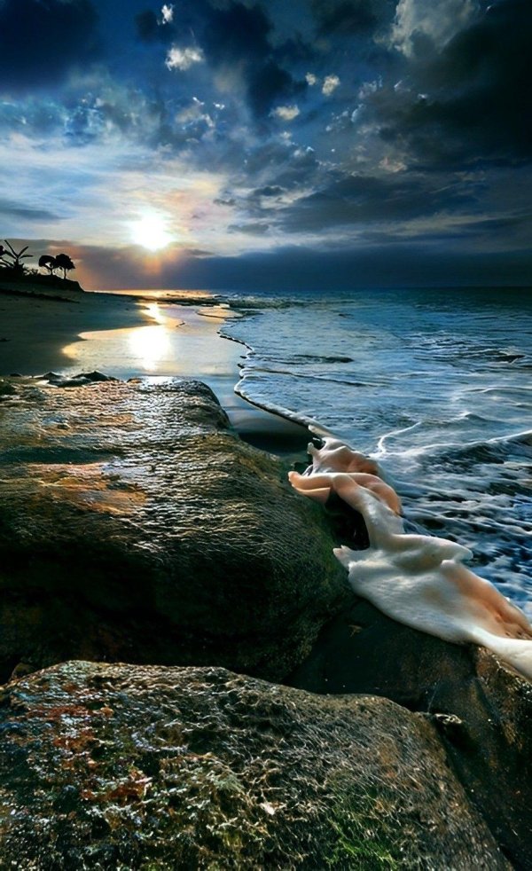 русалка на скале