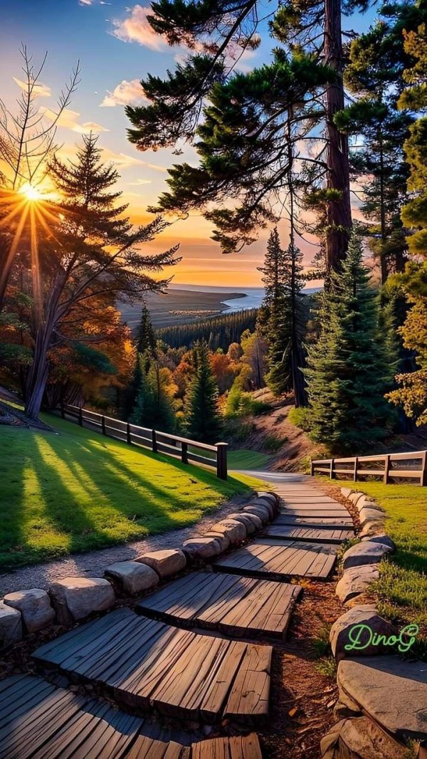 осенние пейзажи