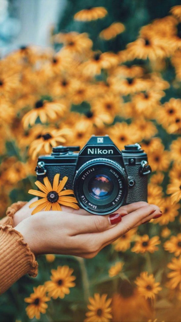 nikon f3