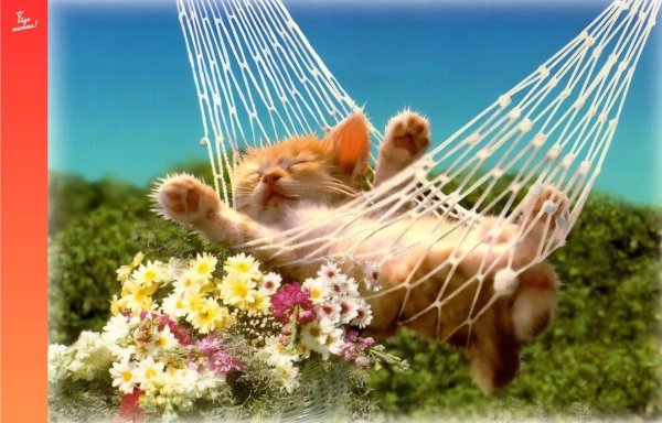 отличного отпуска