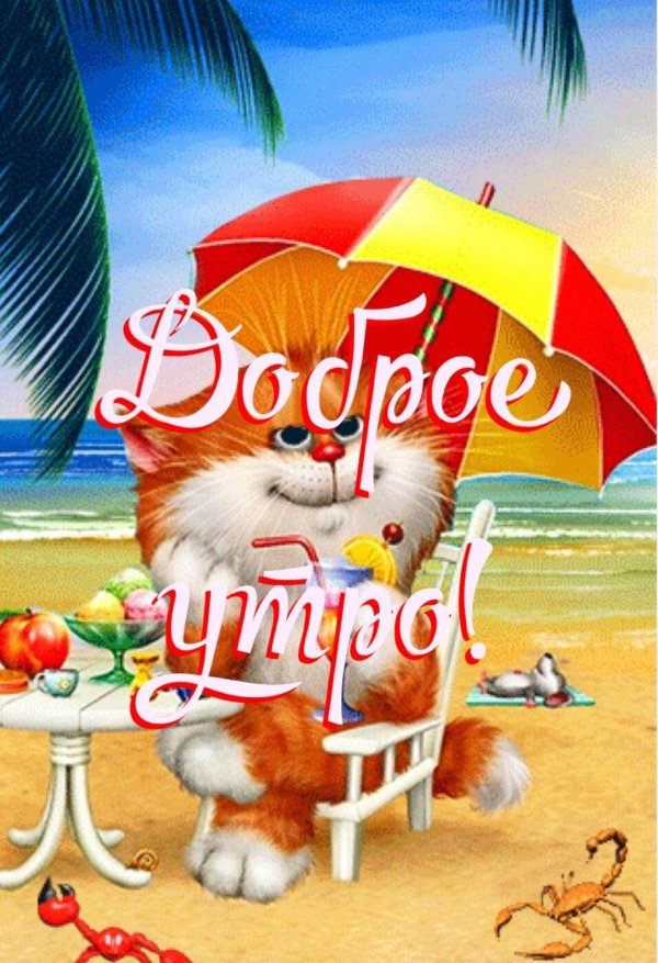 коты алексея долотова