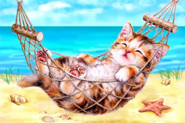 кот отдыхает