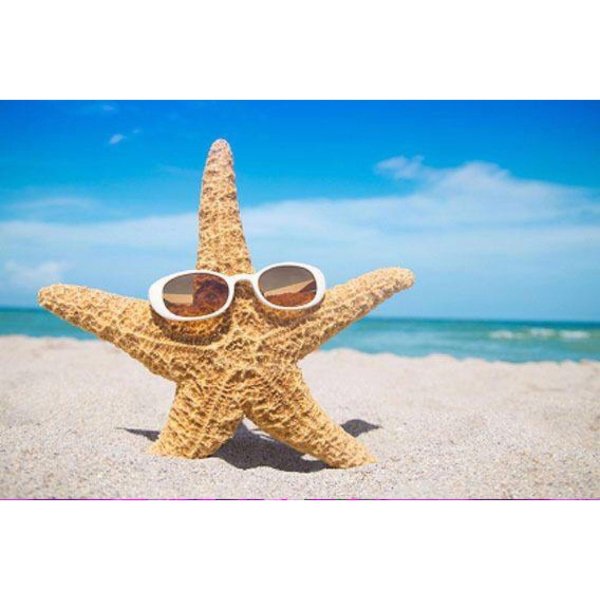 морская звезда