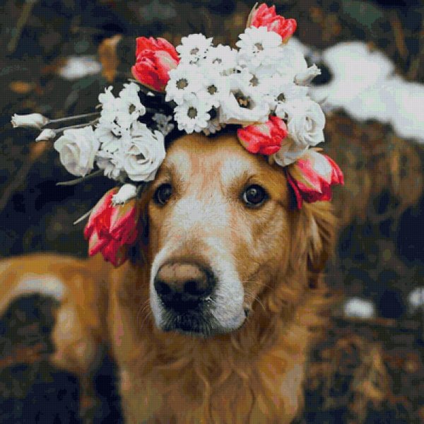 собачка с цветами