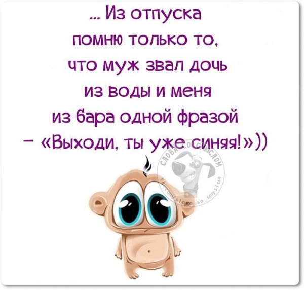 высказывания смешные