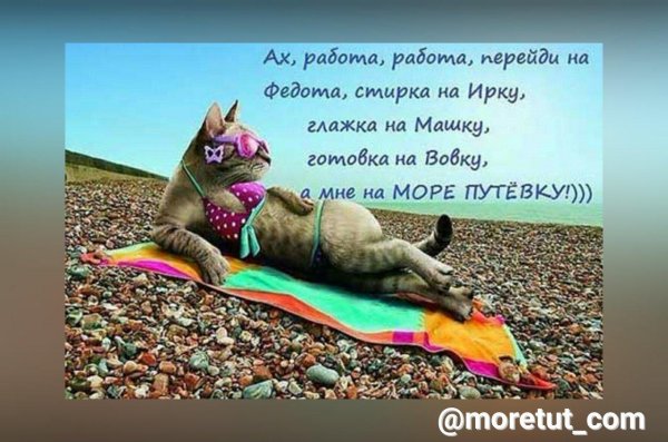 перейди на федота