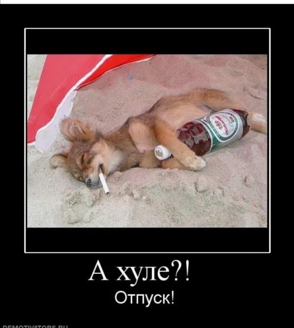 первый день отпуска приколы