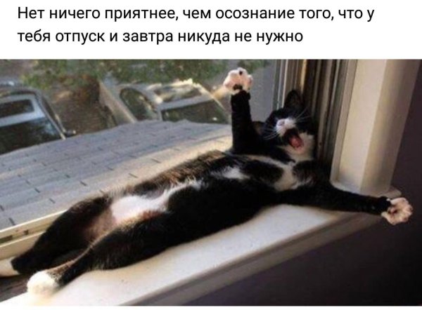 наконец то отпуск