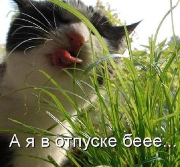 отпуск весна