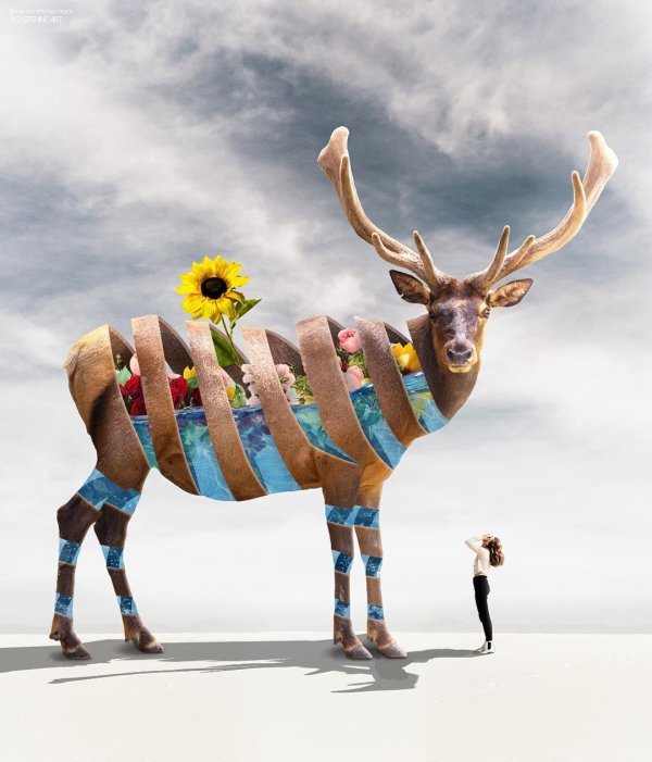 необычный креатив