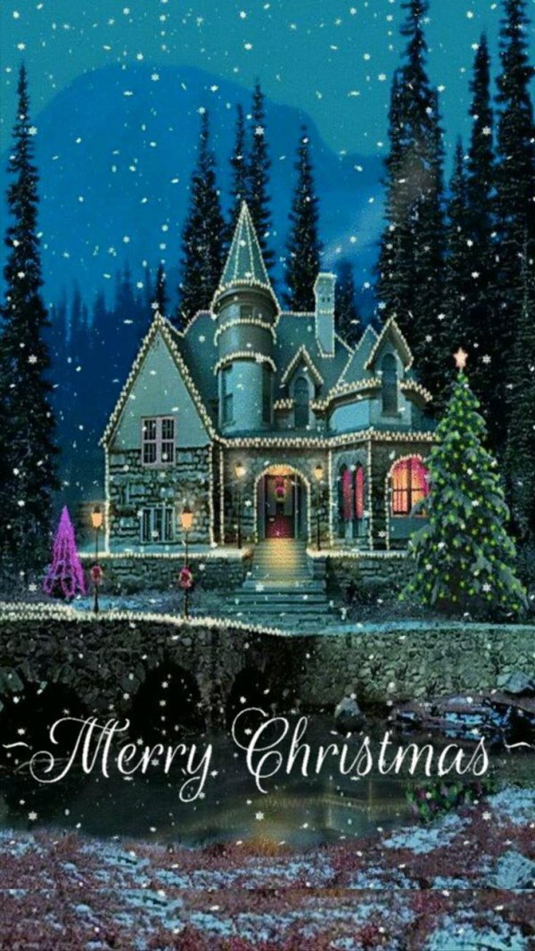 волшебного рождества