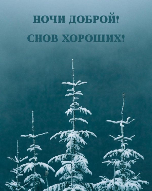 доброй ночи зимнее