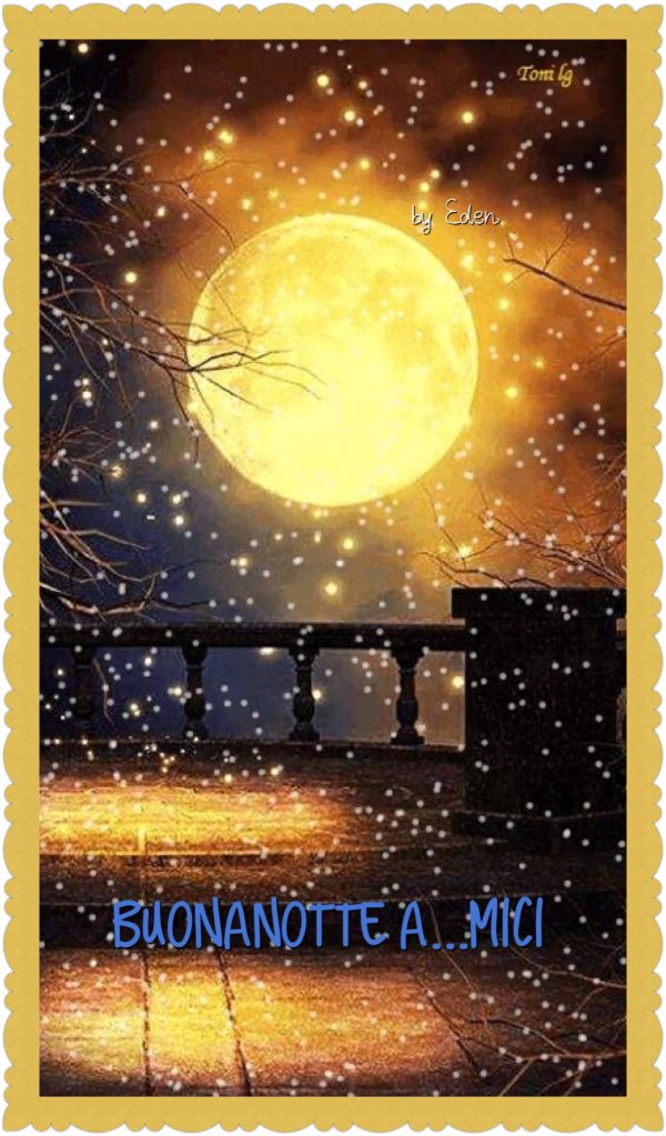 волшебный вечер