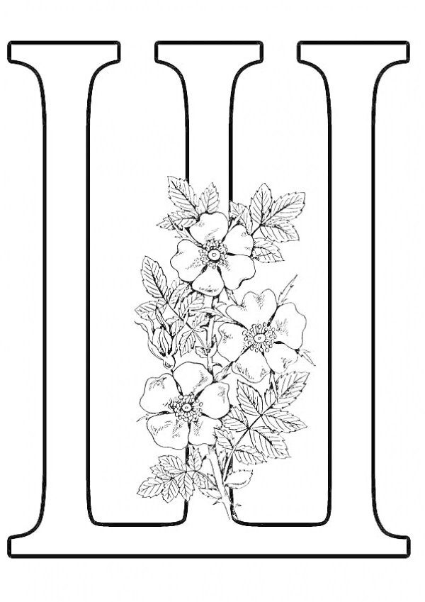 буквыи для распечатывание