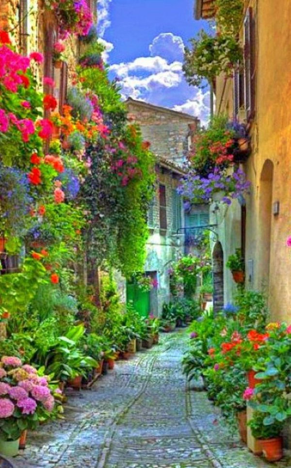 улочки прованса