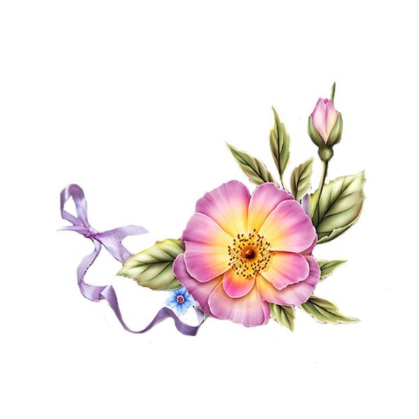 акварельные цветы